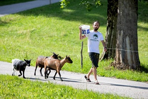 robin-mit-unseren-ziegen